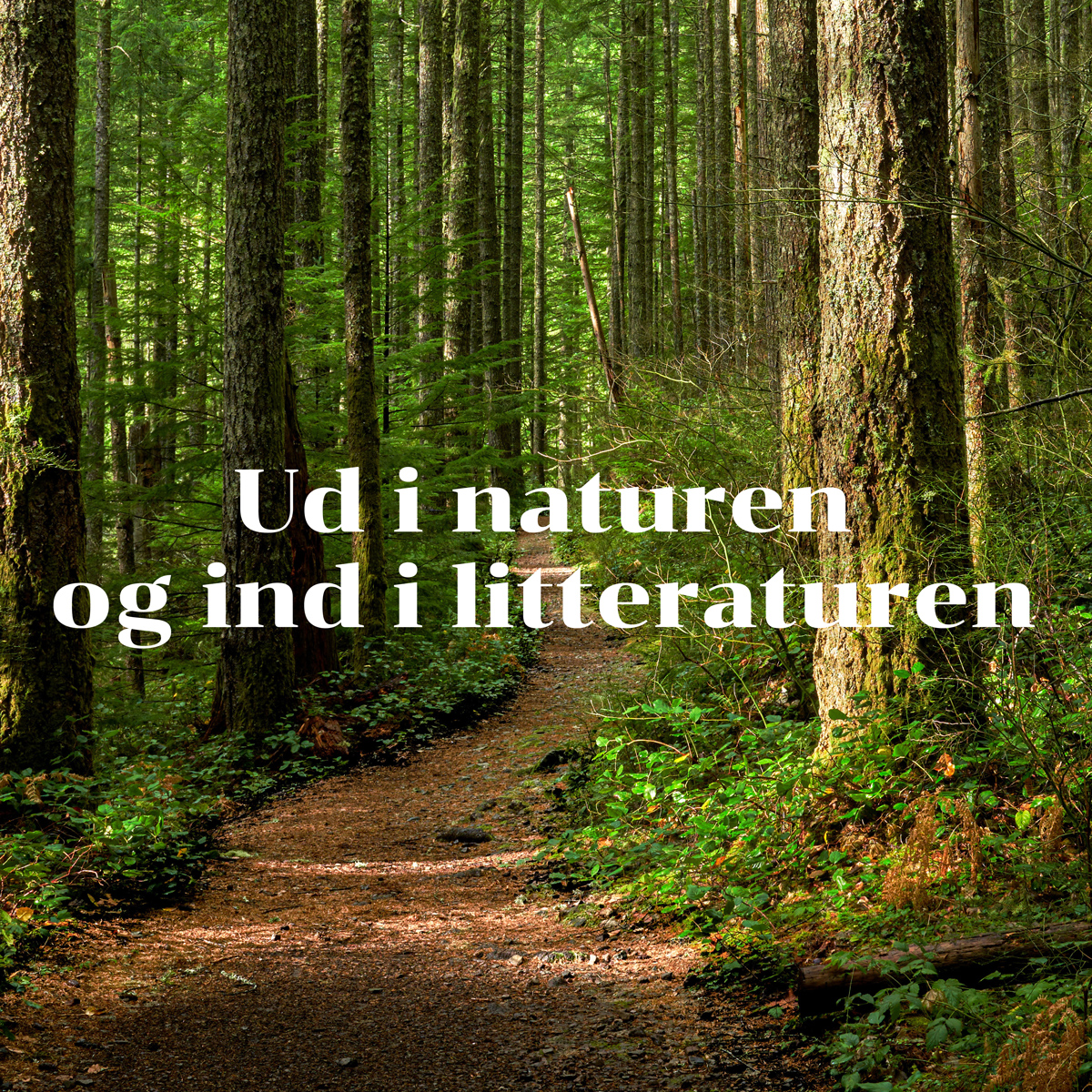 Danske-Digterruter-1200x1200-2